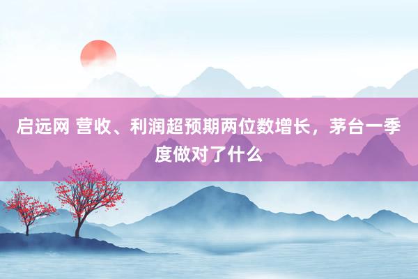 启远网 营收、利润超预期两位数增长，茅台一季度做对了什么