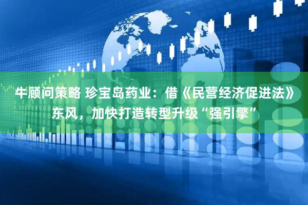 牛顾问策略 珍宝岛药业：借《民营经济促进法》东风，加快打造转型升级“强引擎”