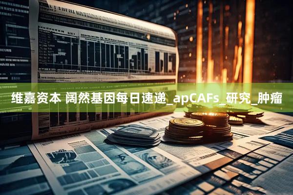 维嘉资本 阔然基因每日速递_apCAFs_研究_肿瘤
