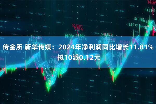 传金所 新华传媒：2024年净利润同比增长11.81% 拟10派0.12元