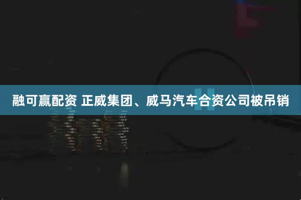 融可赢配资 正威集团、威马汽车合资公司被吊销